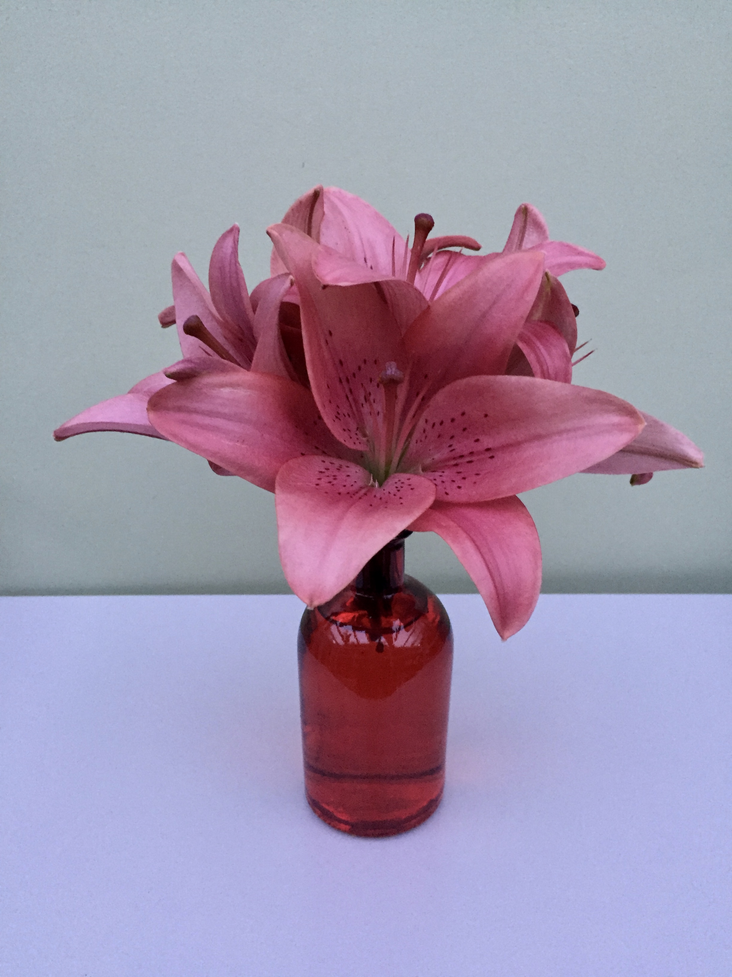 Versatile Bud Vases neilbainfloristry