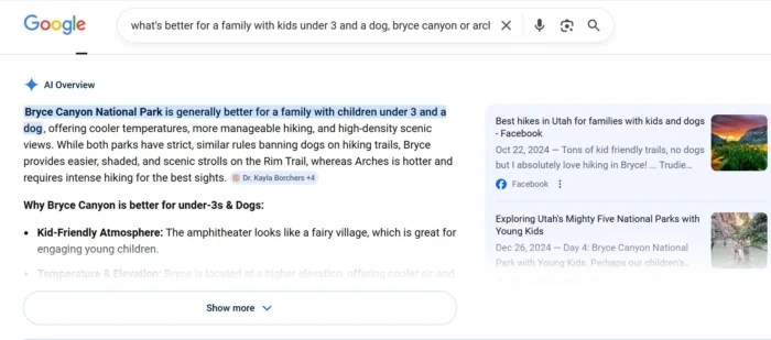 A Google search AIO query.
