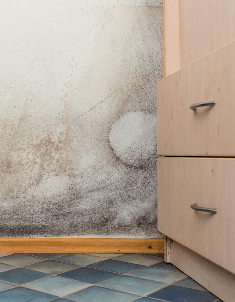 moldmitigation Neil Treitman, CCIM, CAPS