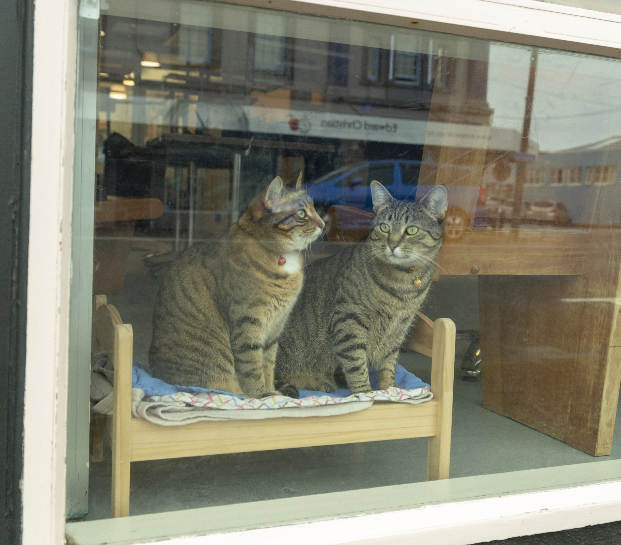 Bookings Neko Ngeru