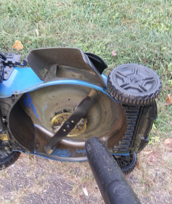 My 40v Kobalt Self-Propelled Lawn Mower – Neko Random