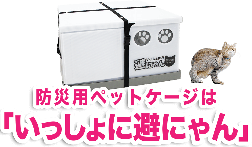 商品詳細 ずっと猫と、ともに。｜猫のとびら合同会社