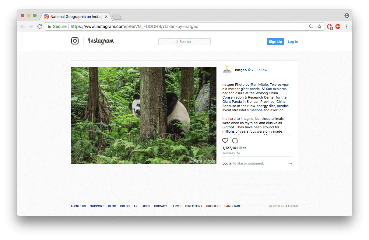 How to Access Instagram in China Nektony