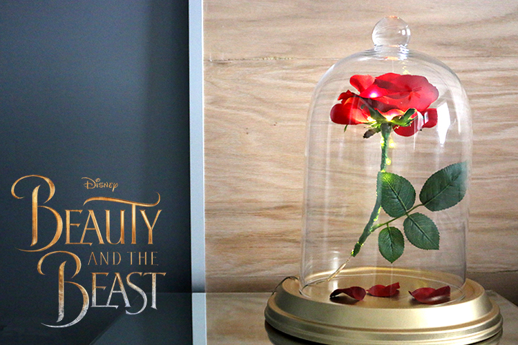 DIY Beauty and the Beast Enchanted Rose Toronto Hamilton Mom