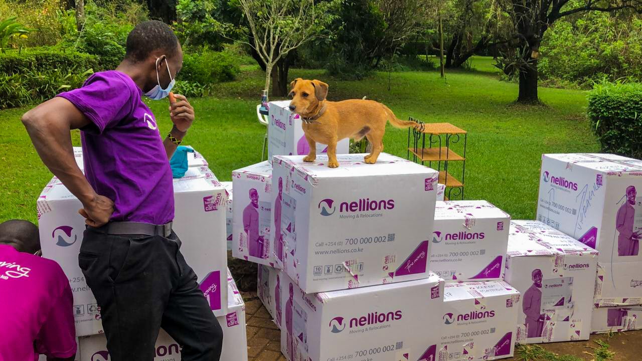 15 Crucial Tips for Pet Relocation in Kenya Best Pet Relocation