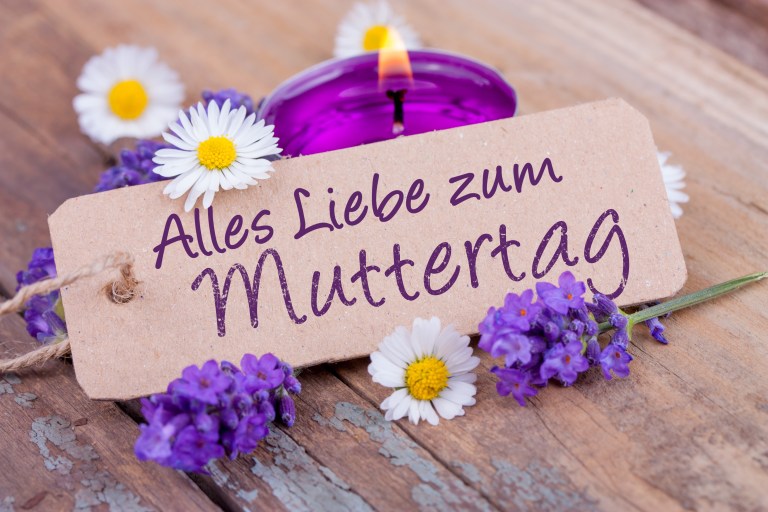 Alles Liebe zum Muttertag, all unseren Mamis! Nelly´s Sterndalschau
