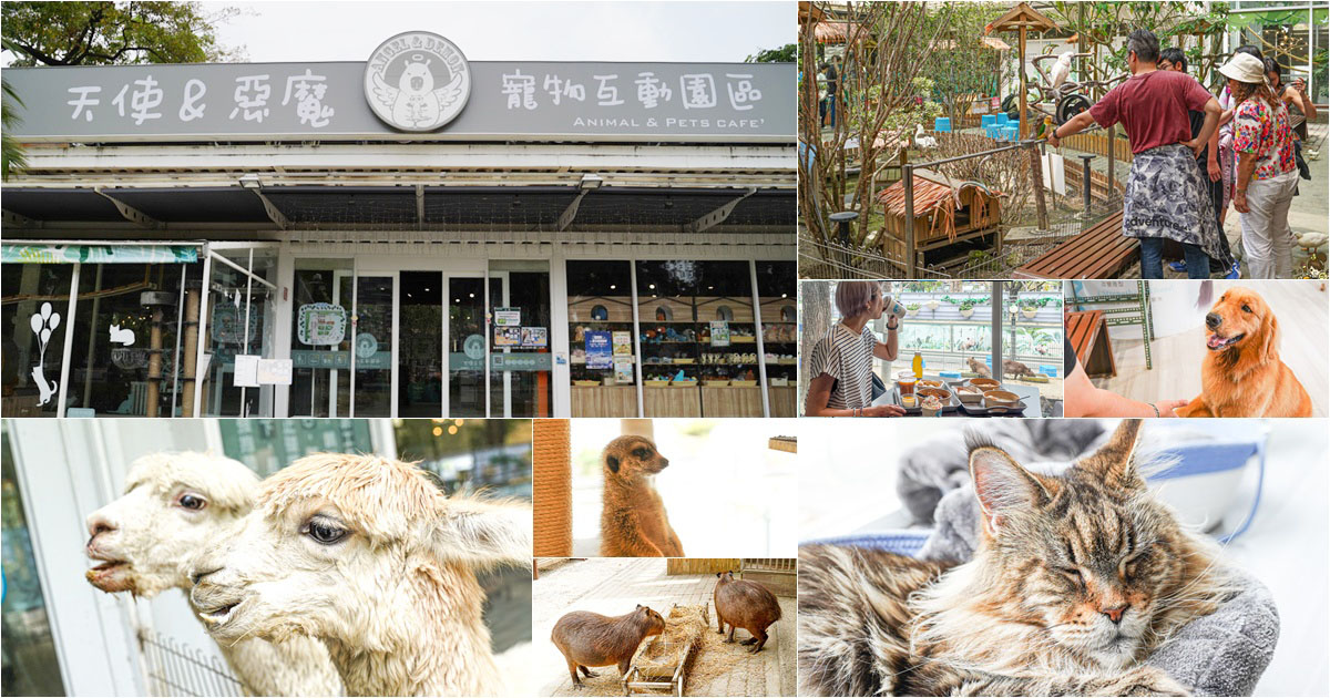 隱藏中央公園最療癒景點 天使&惡魔 寵物互動園區，近距離互動.餵食萌到融化、情侶約會＋親子放電首選