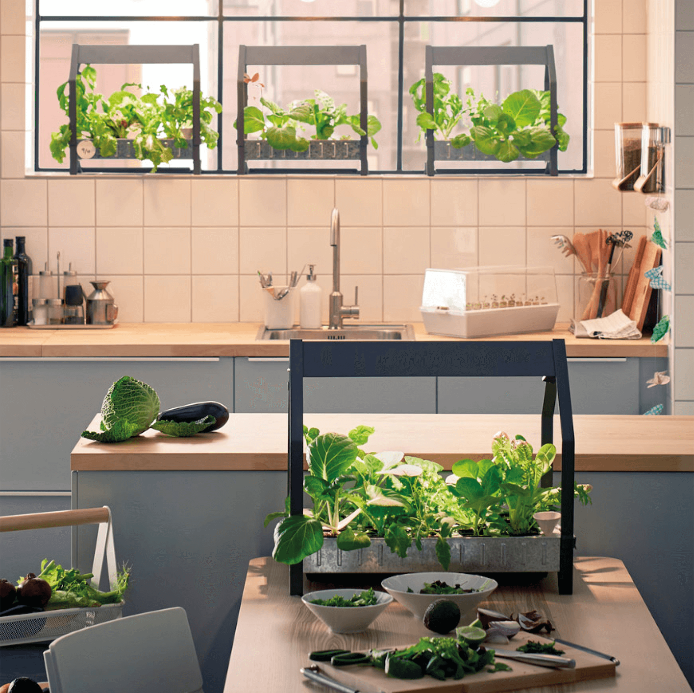 MicroGardening, the New Lifestyle Craze NellyRodi