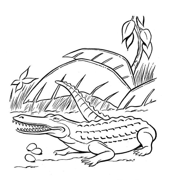 mewarnai Serba Serbi Dunia Maya