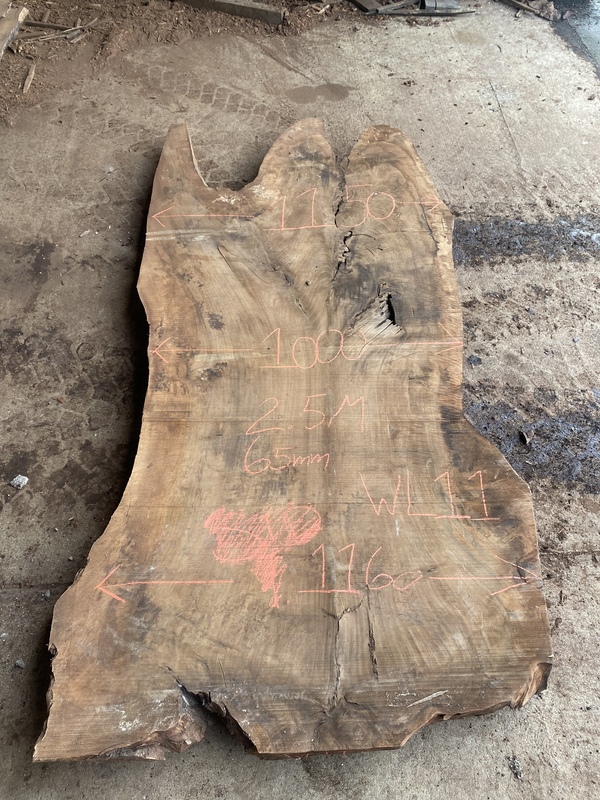 2.5M English Walnut Log Nelson Butler & Son Ltd