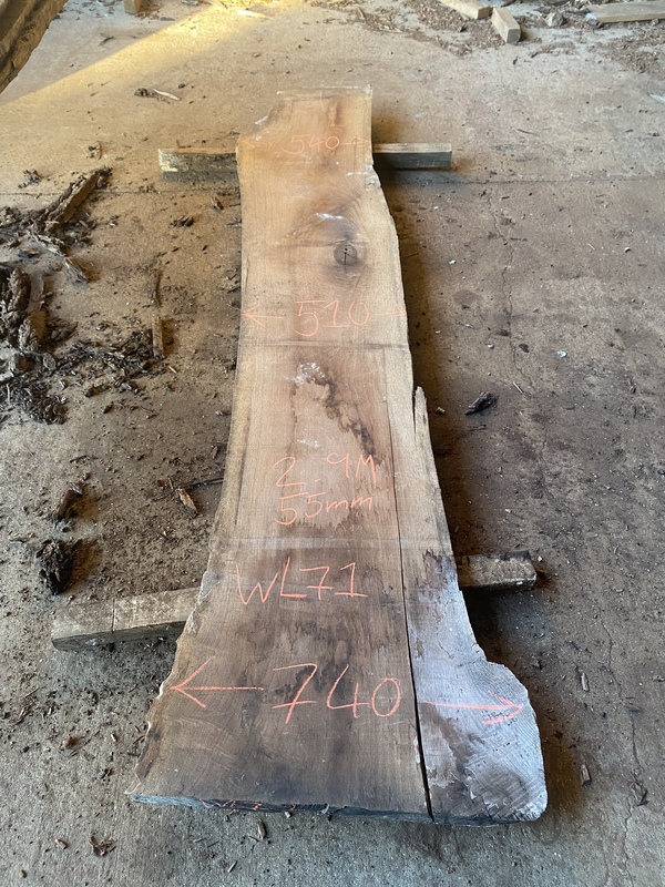 Walnut logs Logs from Nelson Butler & Son Ltd Nelson Butler & Son Ltd