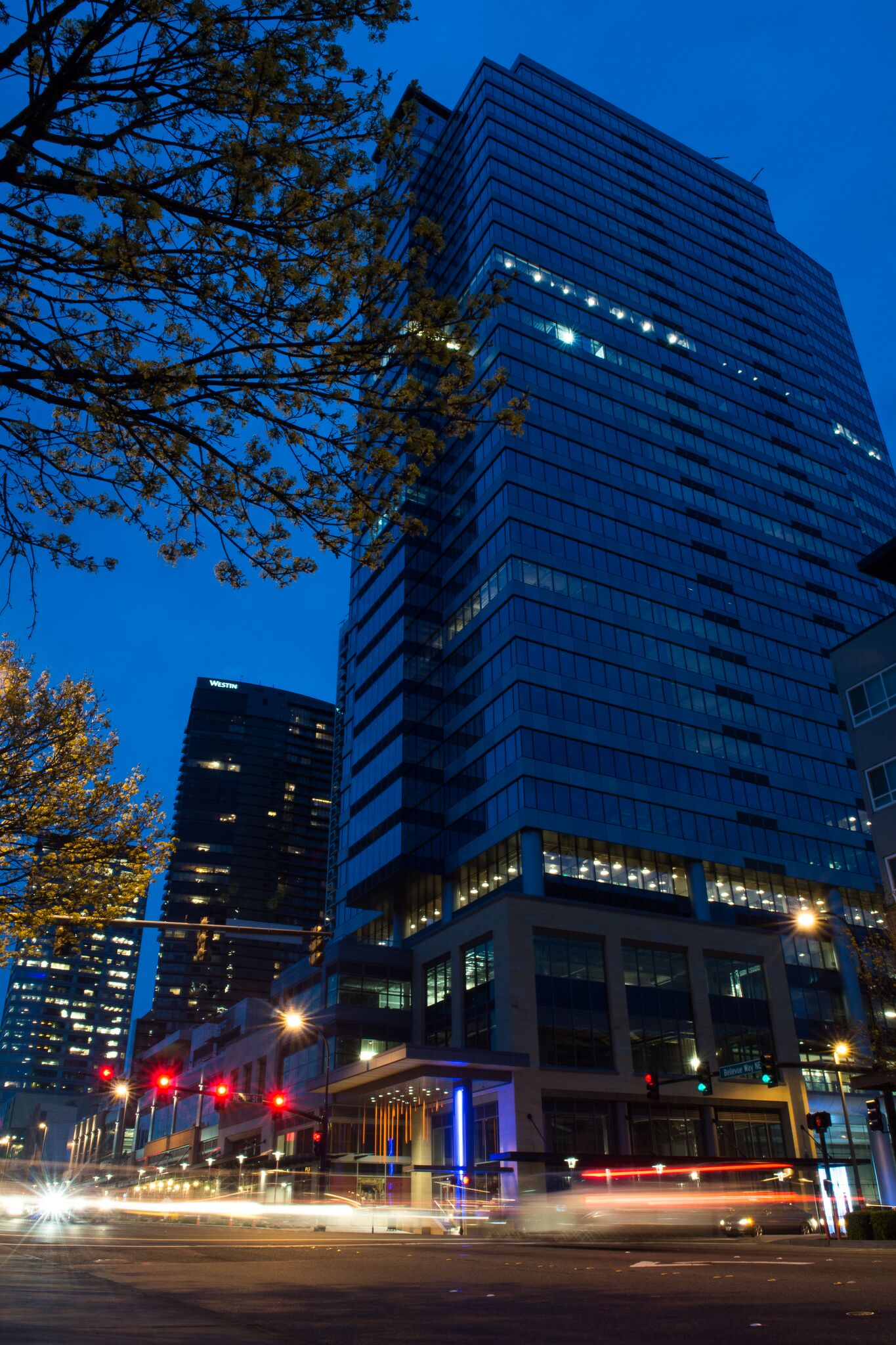 About Nelson Electric