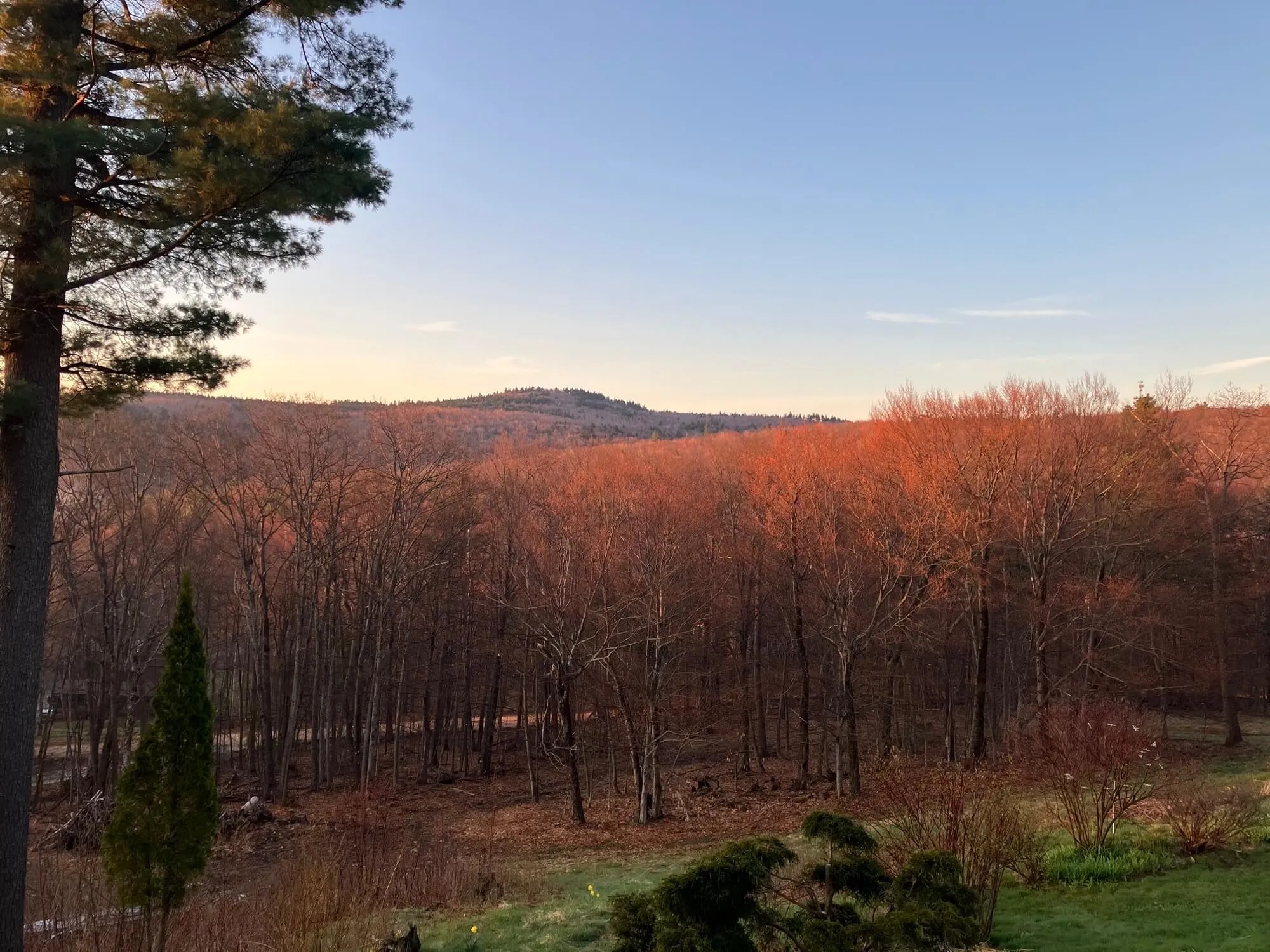 Nelson in Common Update May 3 , 2023 Nelson In Common