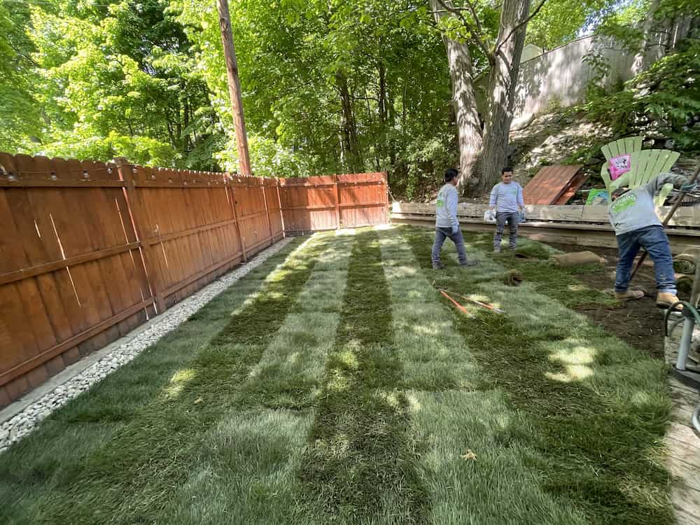 Sod Installation Near Me Nelson's Hardscape and Tree Service