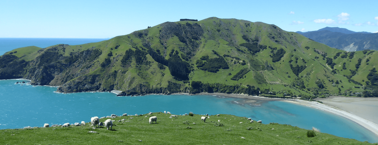 Cable Bay Walkway Nelson Trails
