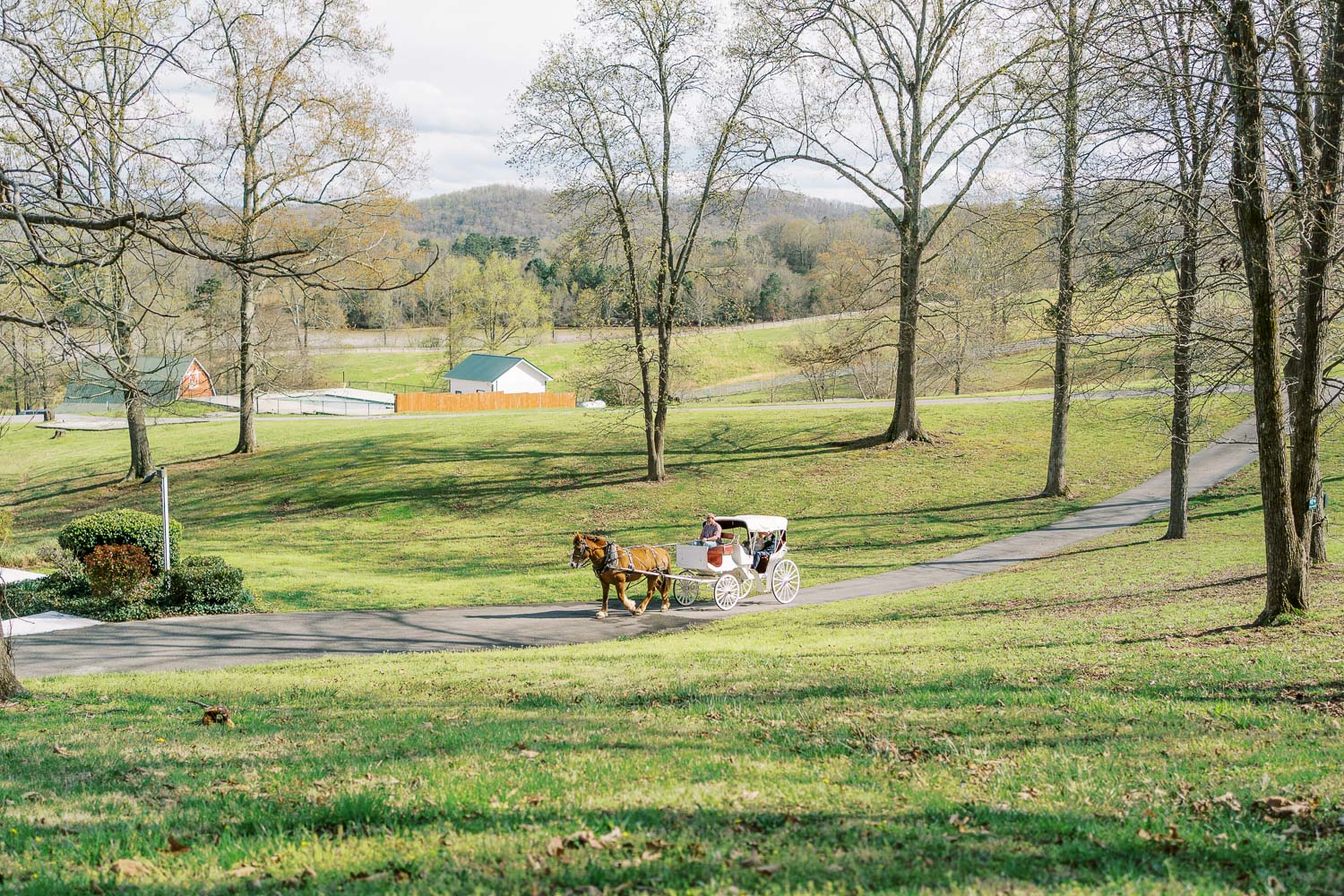 Whitestone Inn Kingston TN Nelya