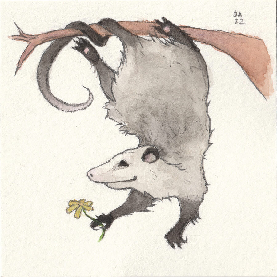 Opossum with Flower Watercolor (Sold, Print Only) NEMAA