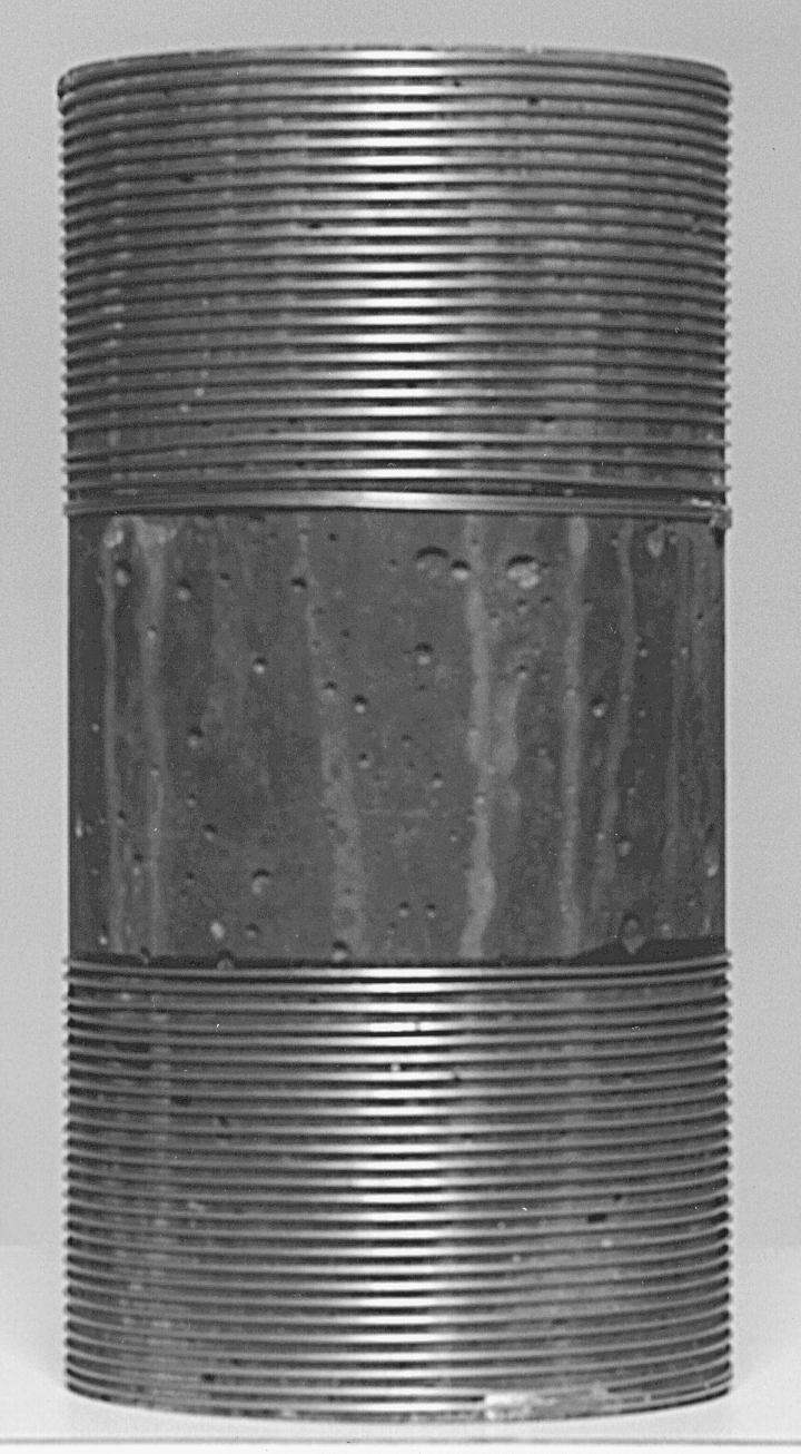 Kamran M. Nemati A New Method to Observe 3D Fractures in Concrete