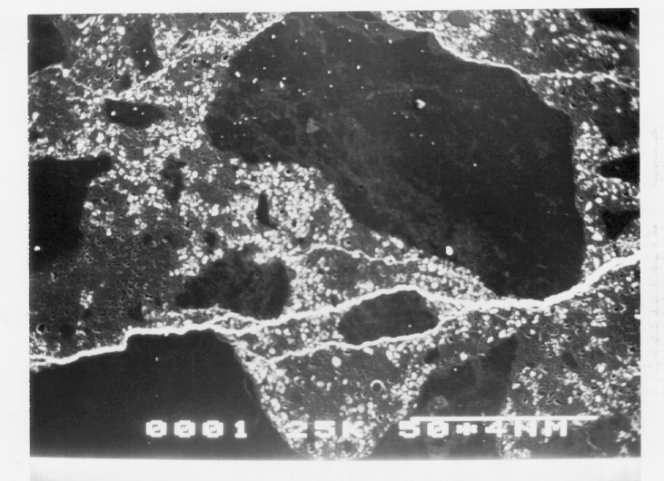Kamran M. Nemati A New Method to Observe 3D Fractures in Concrete