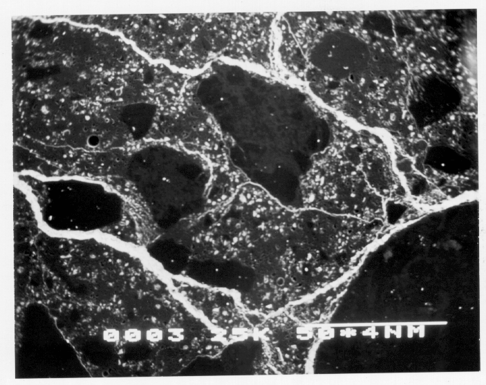Kamran M. Nemati A New Method to Observe 3D Fractures in Concrete