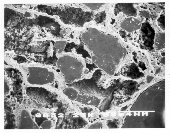 Kamran M. Nemati A New Method to Observe 3D Fractures in Concrete