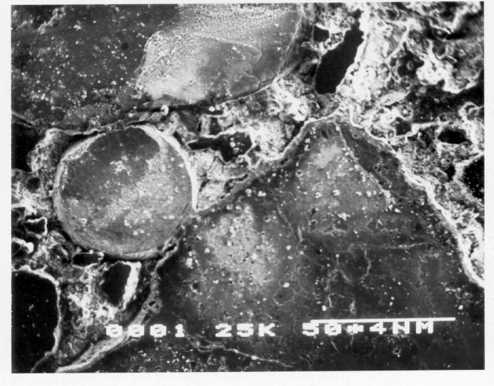 Kamran M. Nemati A New Method to Observe 3D Fractures in Concrete