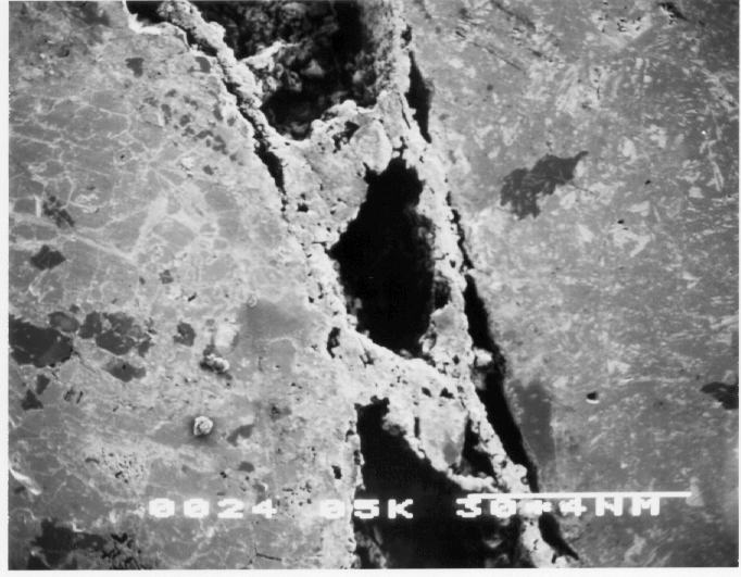 Kamran M. Nemati A New Method to Observe 3D Fractures in Concrete