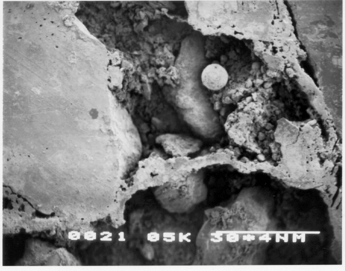 Kamran M. Nemati A New Method to Observe 3D Fractures in Concrete