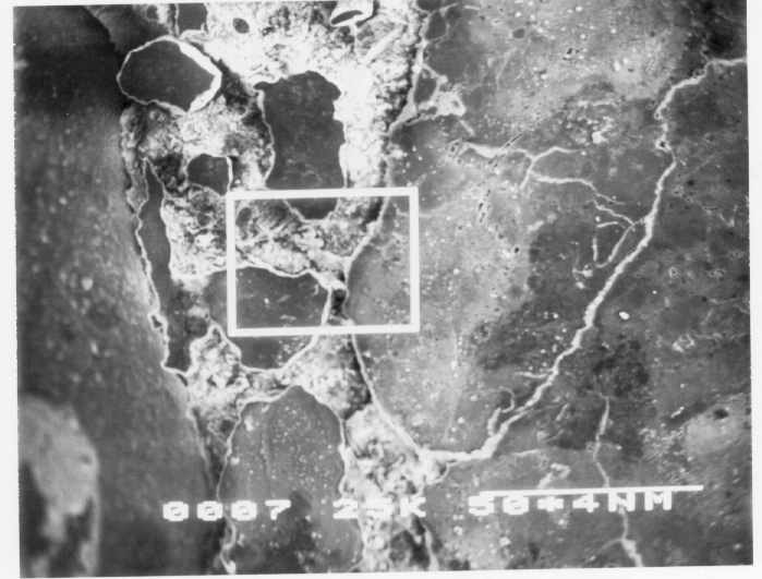 Kamran M. Nemati A New Method to Observe 3D Fractures in Concrete