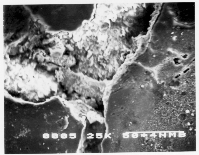 Kamran M. Nemati A New Method to Observe 3D Fractures in Concrete