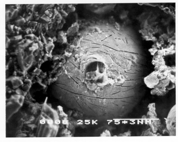 Kamran M. Nemati A New Method to Observe 3D Fractures in Concrete