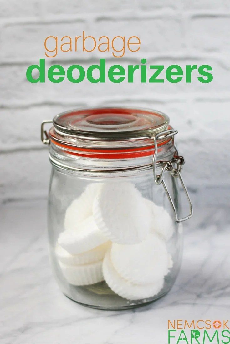 HOMEMADE CLEANERS, HEALTHY HOME HOMEMADE GARBAGE DEODORIZER PUCKS