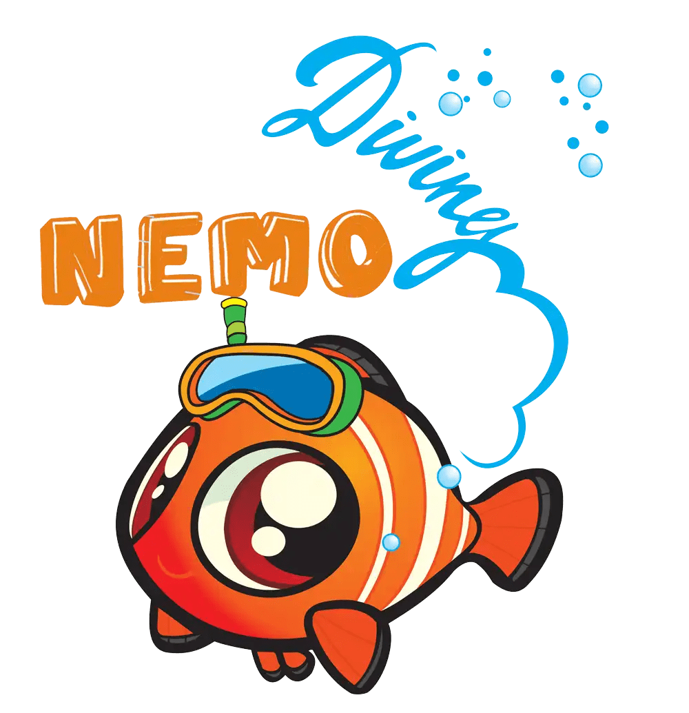 Apeks RK3 HD Fins Nemo Diving Center