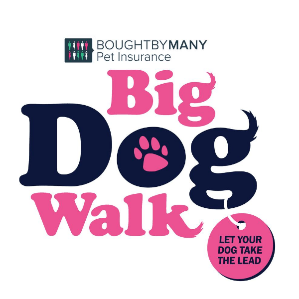 The Big Dog Walk goes to Glasgow! The NEN North Edinburgh News