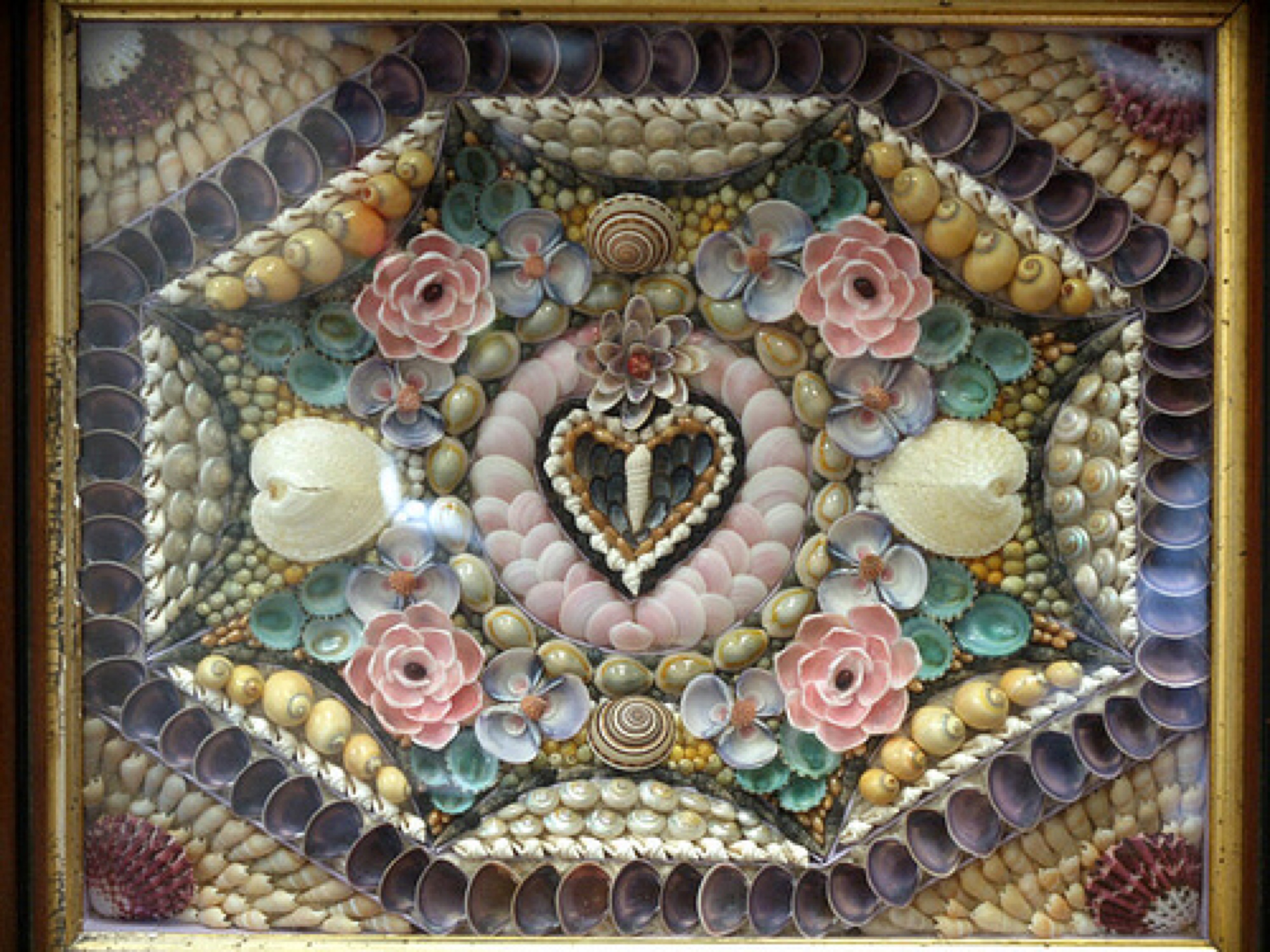 COLLECTIONS SHELL ART