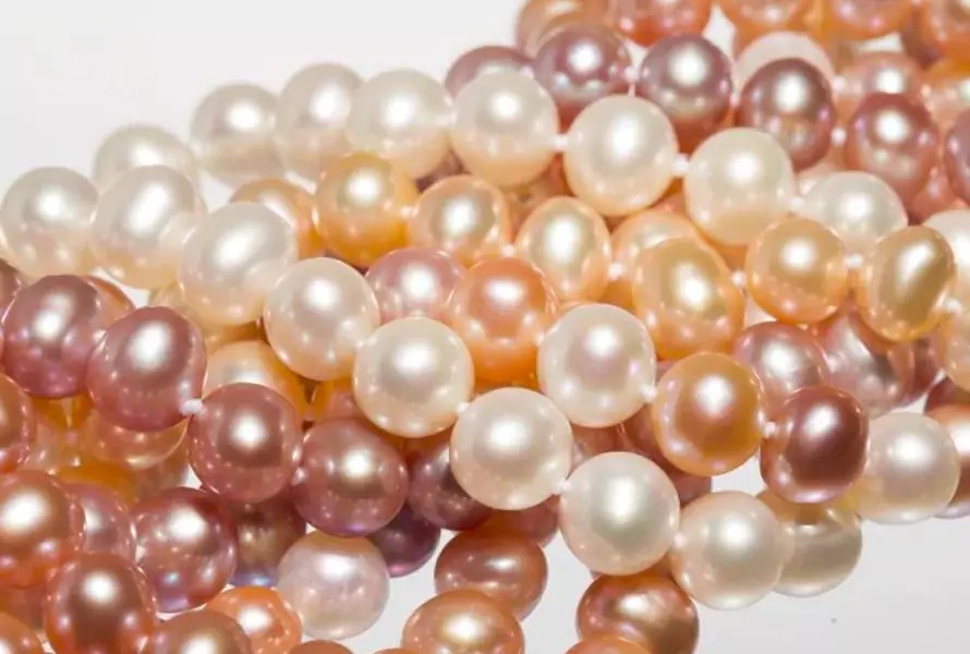 Cultured Pearl vs Freshwater Pearl vs Saltwater Pearl From A to Z Nendine