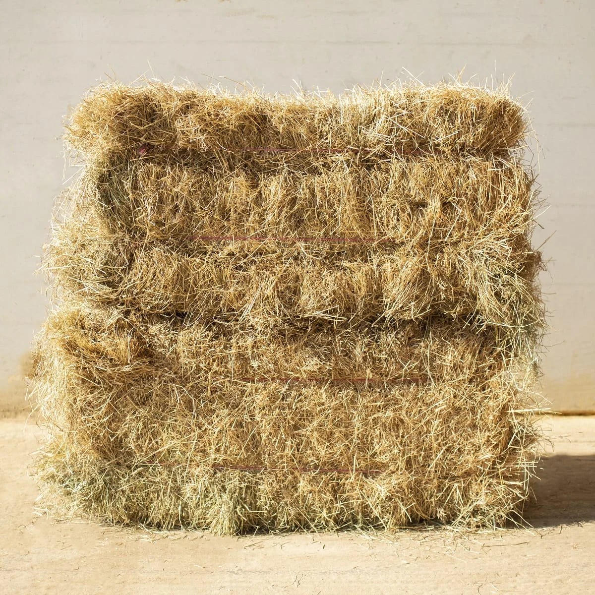 Wholesale Nene Valley Firewood