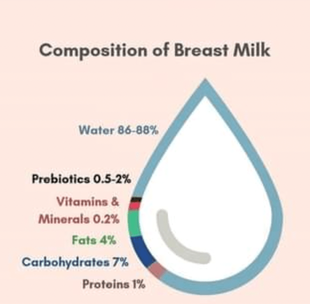 COMPOSITION OF HUMAN MILK NUTRIENTS AND BIOACTIVE FACTORS Neolacta