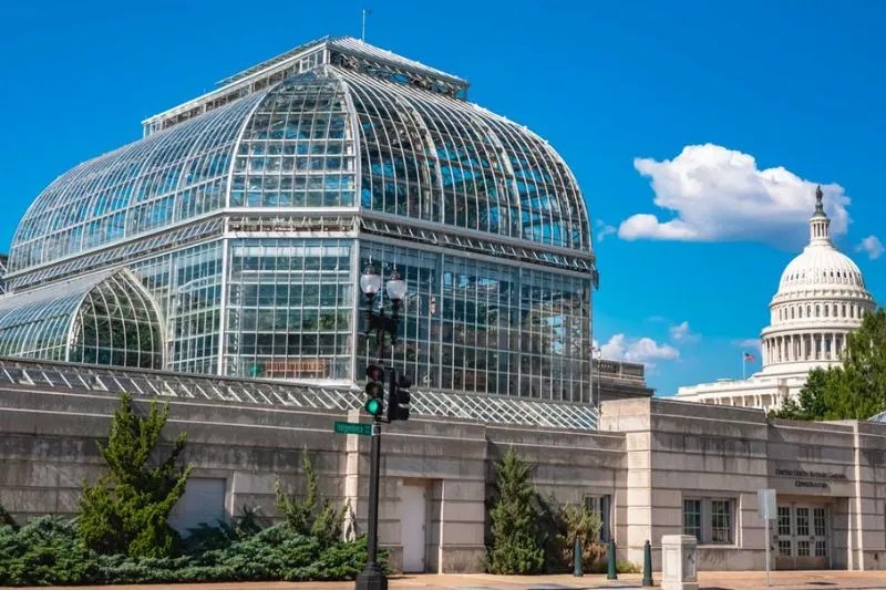 The Best Museums in DC That Everyone Needs to Visit