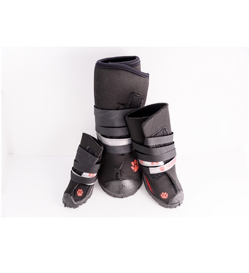 NEOPRENE REGULAR Shoes & Boots For Dogs Buy Online