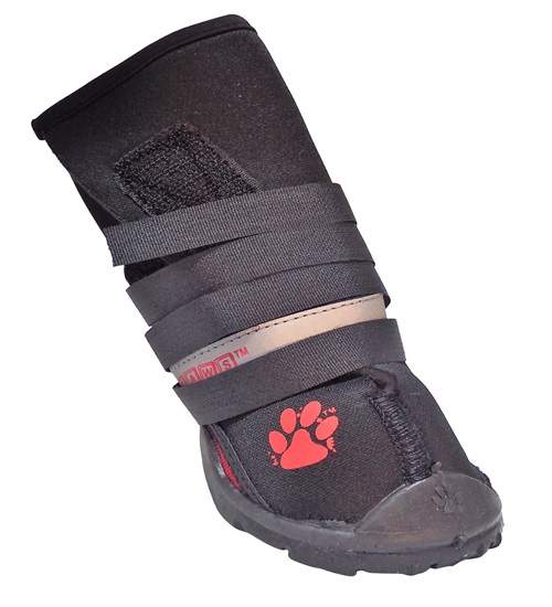 NEOPRENE REGULAR Shoes & Boots For Dogs Buy Online