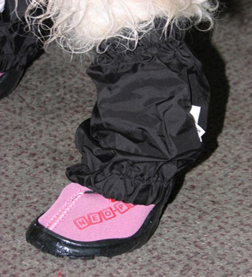 BOOT COVERS NEOPAWS