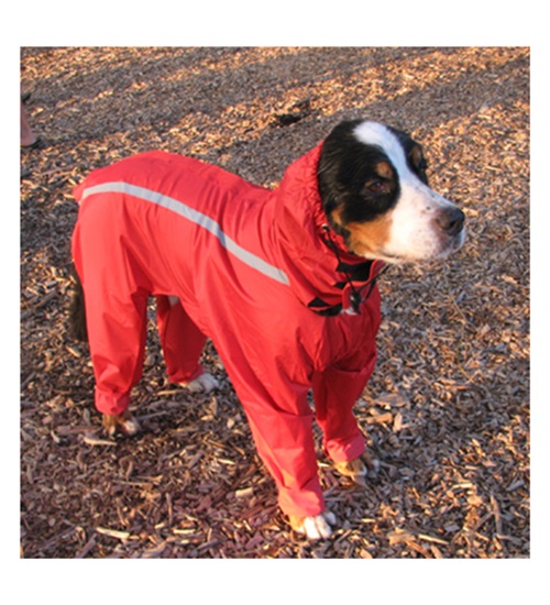 Dog RAIN/BODY SUIT with legs Waterproof Online NeoPaws.