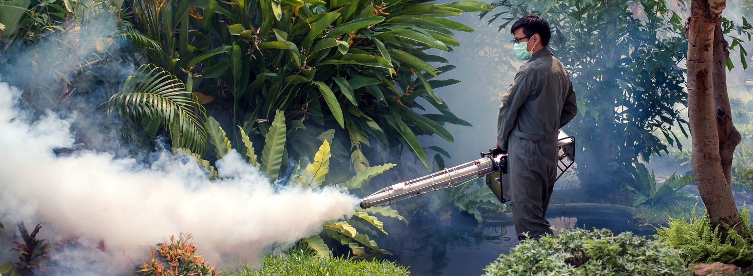 Amazing Facts About Pest Control Nepal Pest Control