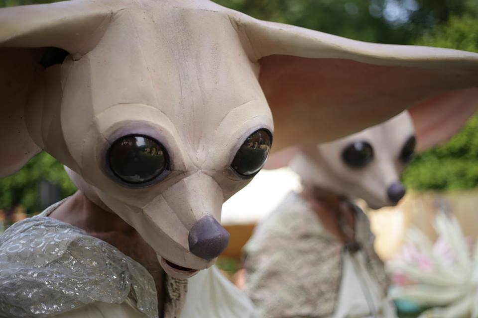 Fennec foxes and chihuahua’s NEPCO