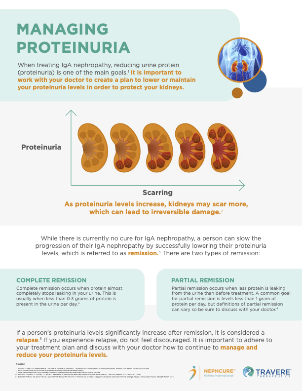 Travere Therapeutics' Sparsentan Drug Explained NephCure
