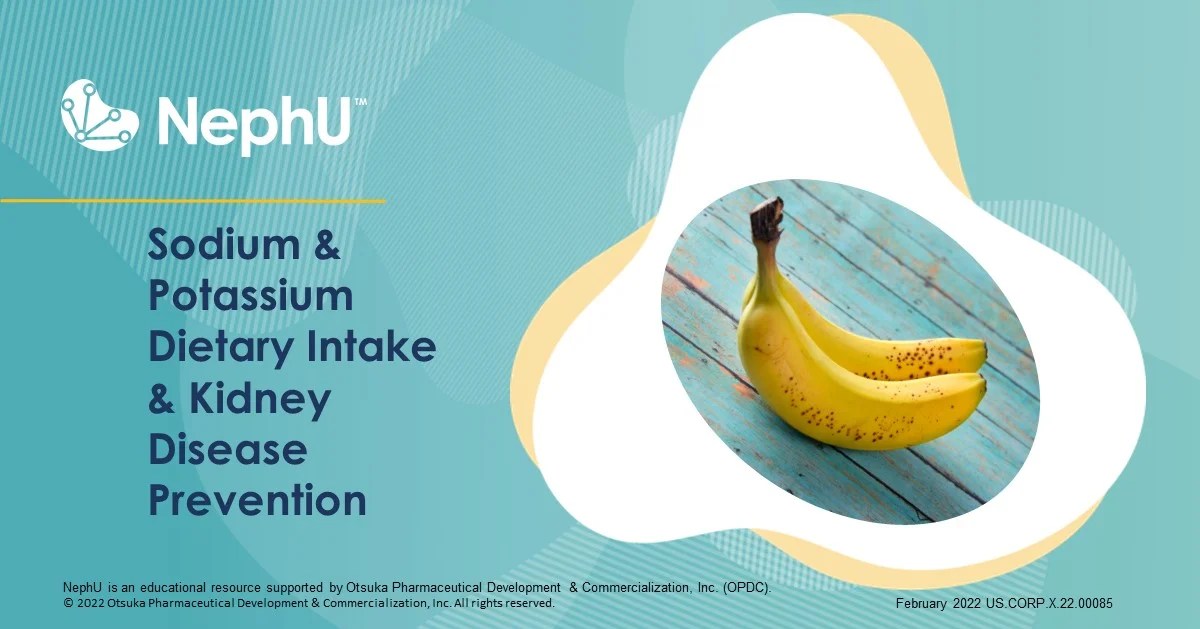 Sodium & Potassium Dietary Intake & Kidney Disease Prevention NephU