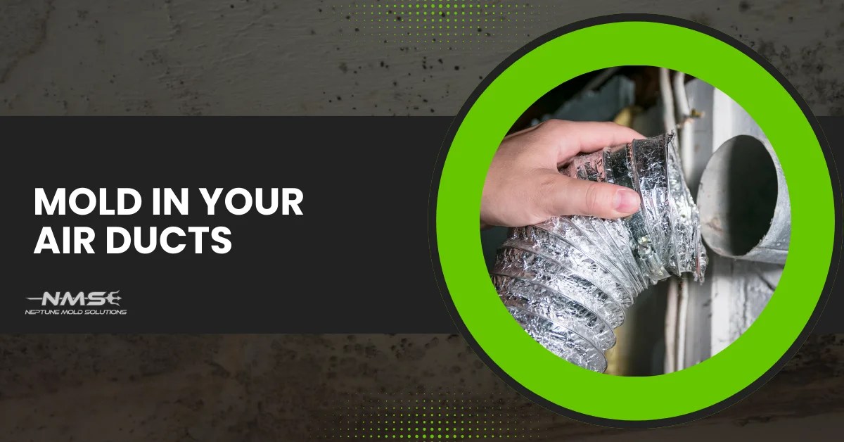 How to get rid of mold in air ducts