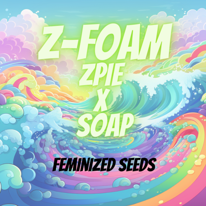 Raw Z FOAM (F) Neptune Seed Bank