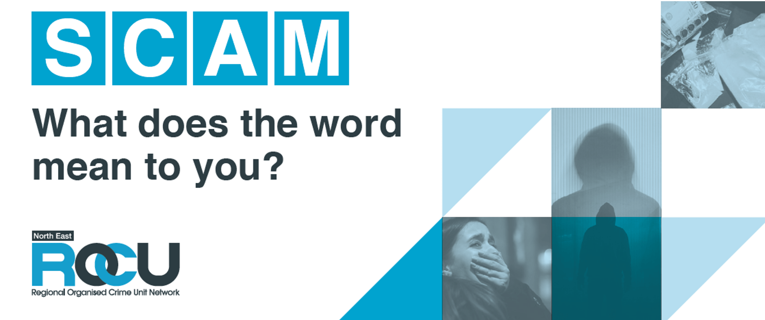 SCAM What does the word mean to you?